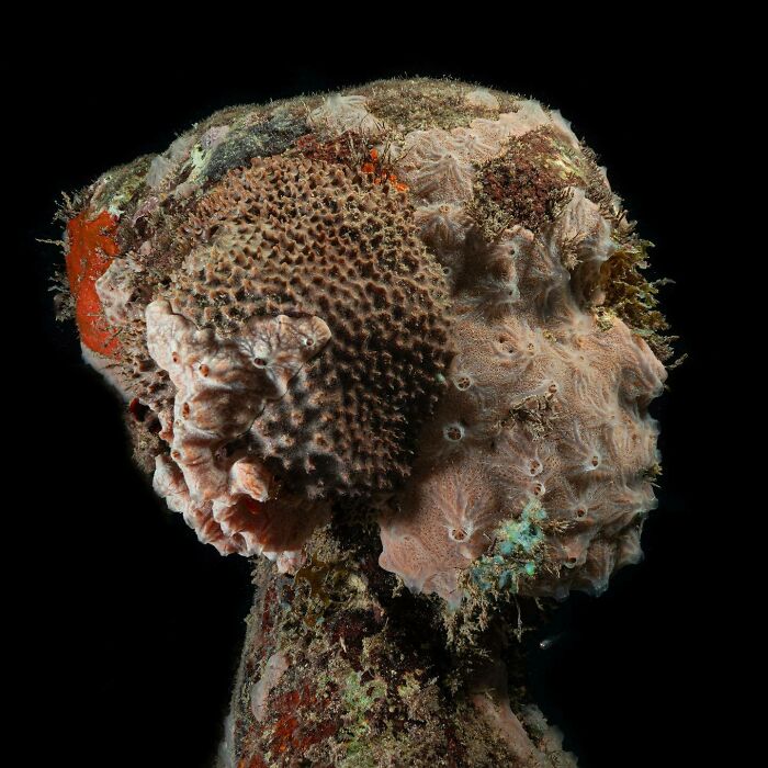 21 Underwater Sculptures That Are Like Secret Ocean Treasures (And Yes, They Help Fish, Too!)