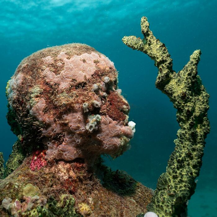 21 Underwater Sculptures That Are Like Secret Ocean Treasures (And Yes, They Help Fish, Too!)