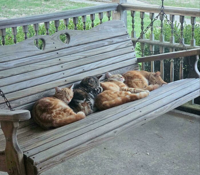 Epic Meeting Crash: Nobody Made It to the End Without Zoning Out