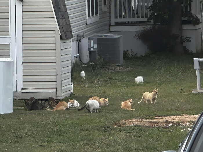 Pretty Sure They’re Plotting Our Doom Here