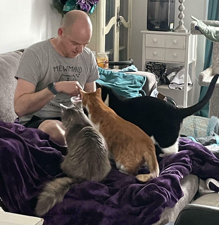 Meet The Secret Cat Club Plotting Stuff (We’re Guessing World Domination?)