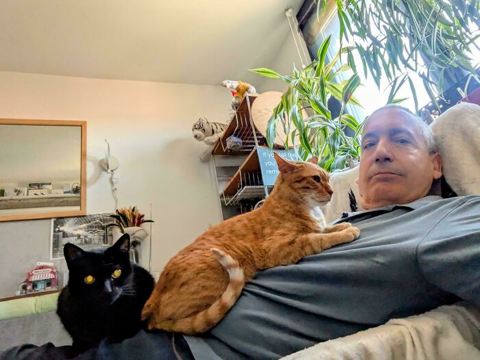 Meet The Secret Cat Club Plotting Stuff (We’re Guessing World Domination?)