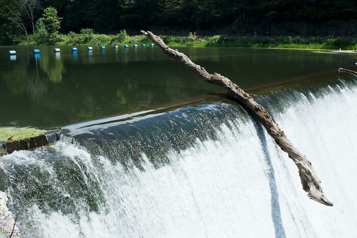 This Driftwood Has the Balance of a Tightrope Walker