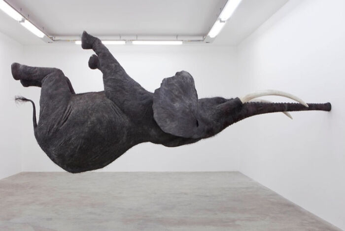 Floating Elephant? Yep, That’s a Thing Now