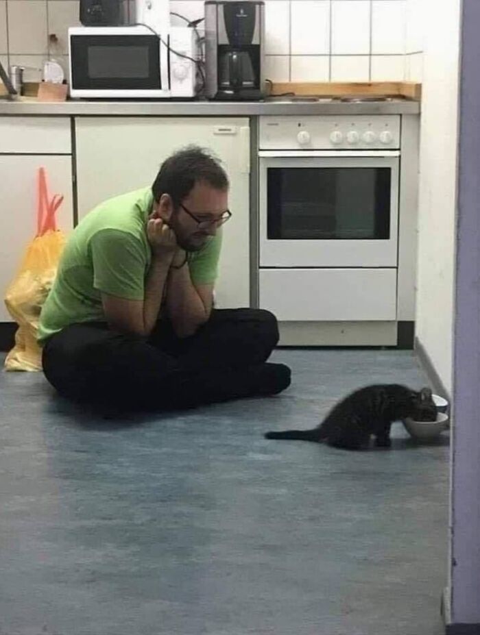 40 Cat Pics That’ll Make You Say “Wait, What Is This Cat Doing?!”