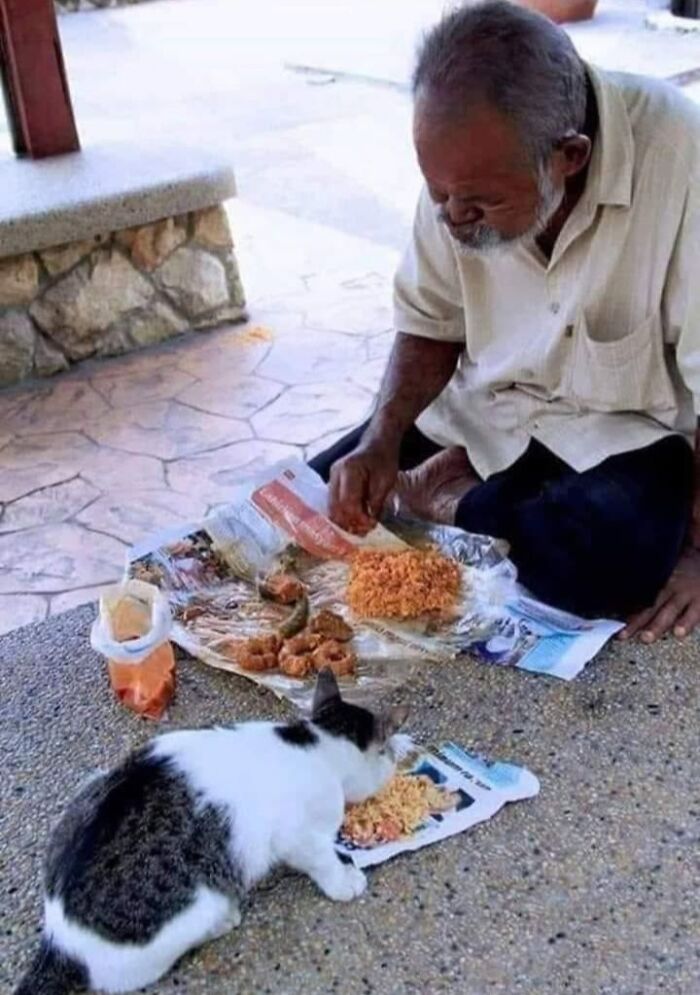 40 Cat Pics That’ll Make You Say “Wait, What Is This Cat Doing?!”