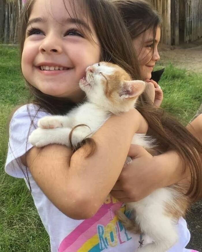 40 Cat Pics That’ll Make You Say “Wait, What Is This Cat Doing?!”