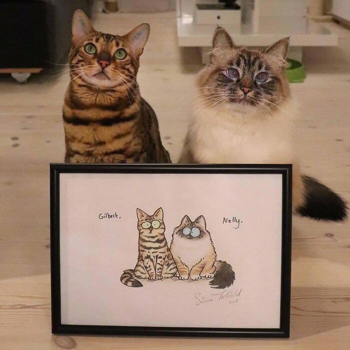 40 Cat Pics That’ll Make You Say “Wait, What Is This Cat Doing?!”