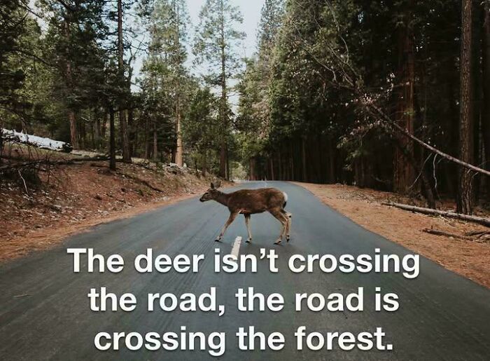 Which Came First? Food For Thought!