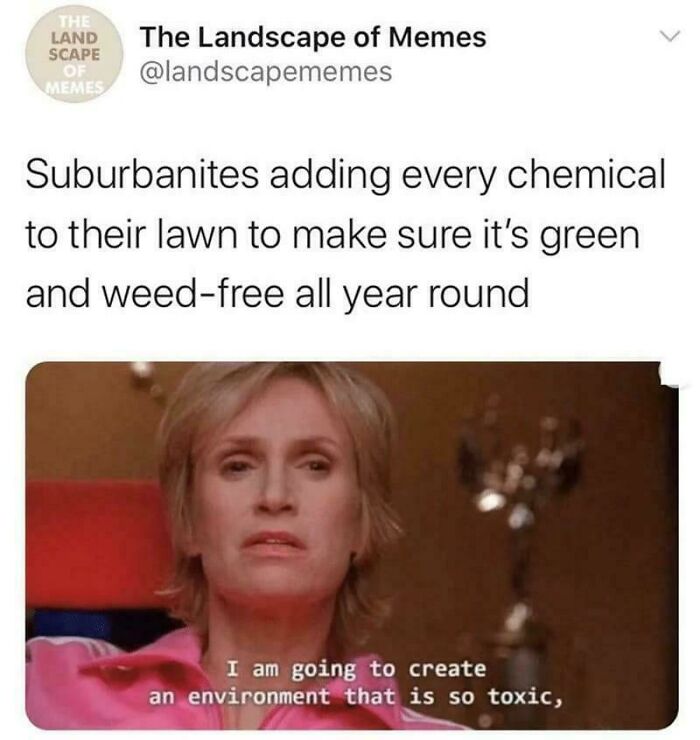 "Lawn-Care?" Lol!