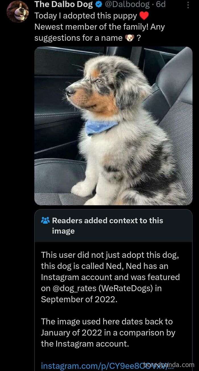 Good Job Twitter, You Did It Again