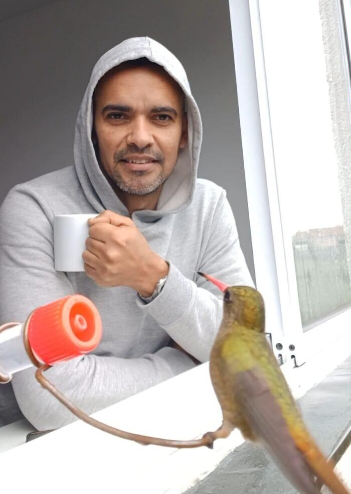 This Guy Turned His Window Into The Coolest Tiny Bird Cafe Ever