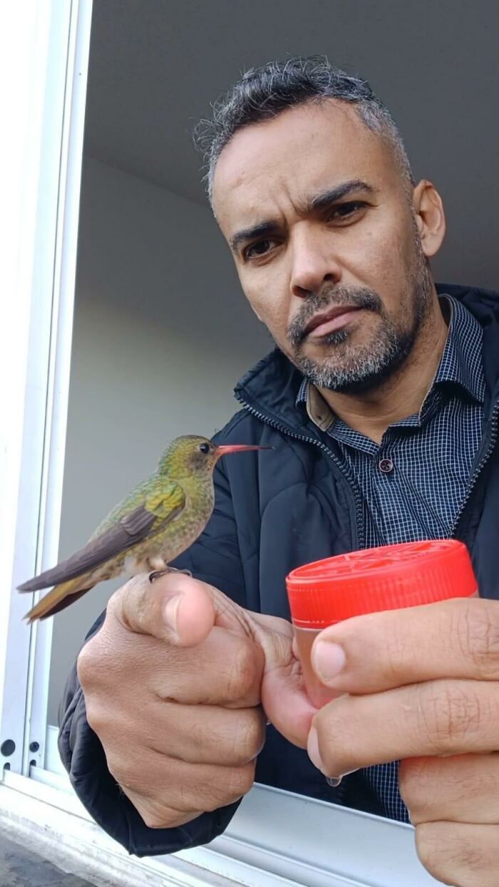 This Guy Turned His Window Into The Coolest Tiny Bird Cafe Ever