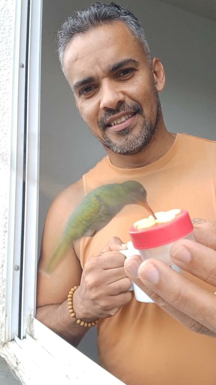 This Guy Turned His Window Into The Coolest Tiny Bird Cafe Ever