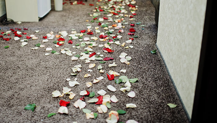 The Wildest 'No Thanks!' Moments When Proposals Took a Left Turn