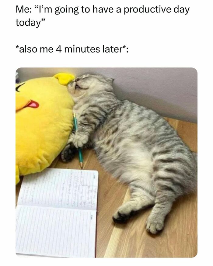 70 Cat Pics That Prove Cats Are Basically Tiny, Furry Comedians