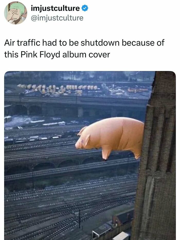 44 Wildly Cool Facts That Will Totally Surprise You (With Pics!)