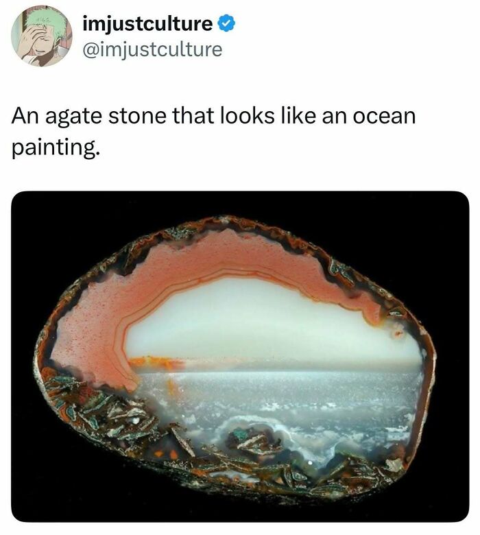 44 Wildly Cool Facts That Will Totally Surprise You (With Pics!)