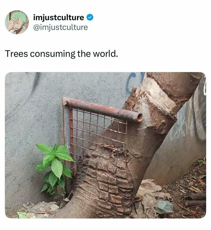 44 Wildly Cool Facts That Will Totally Surprise You (With Pics!)