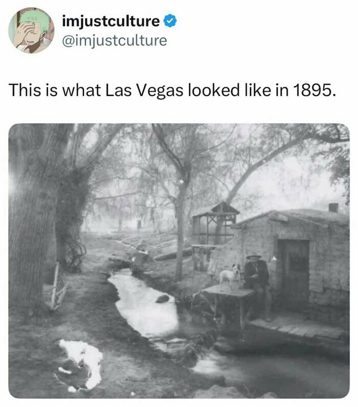 44 Wildly Cool Facts That Will Totally Surprise You (With Pics!)