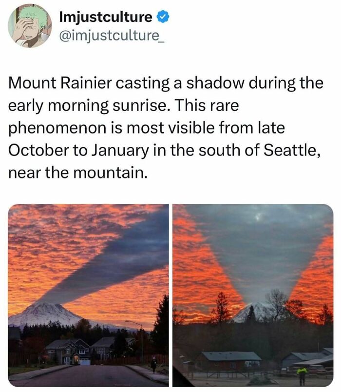 44 Wildly Cool Facts That Will Totally Surprise You (With Pics!)