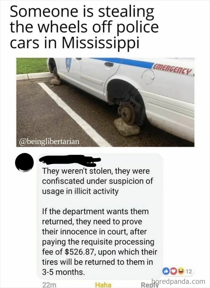 When Police Go Chaotic Good-ish