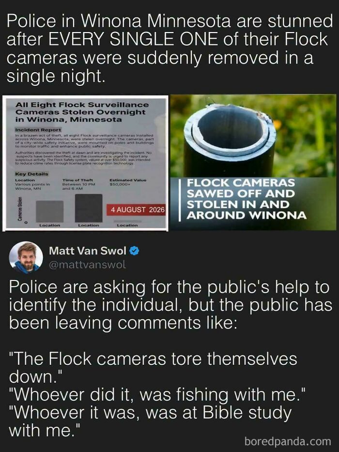 Flock Around and Find Out What Happens!