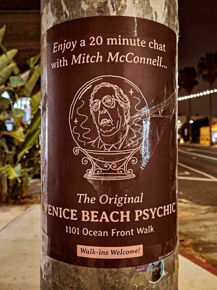 Real Psychic or Fake Flyer? You Decide!