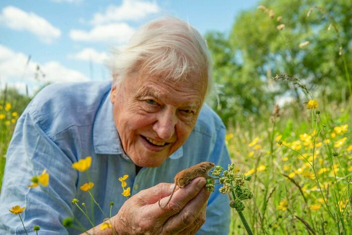 David Attenborough: Nature’s Legendary Teacher Turns 100!