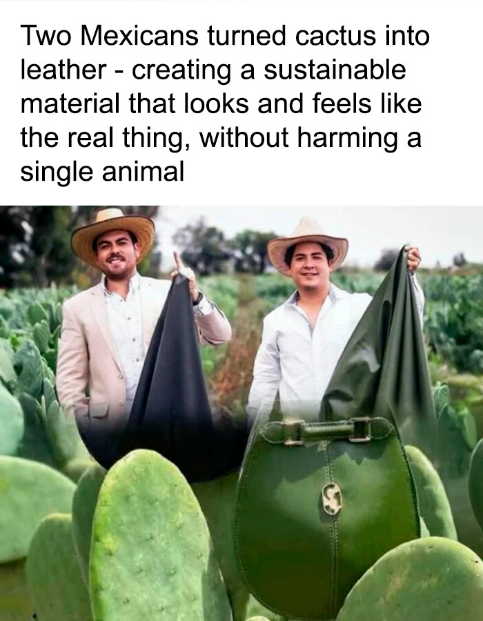 Cactus Leather? Yes, Please!
