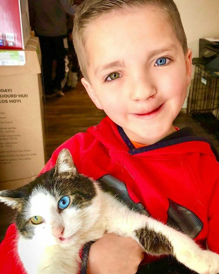 Boy Bullied For His Unique Look Adopts Cat With The Same Cool Traits