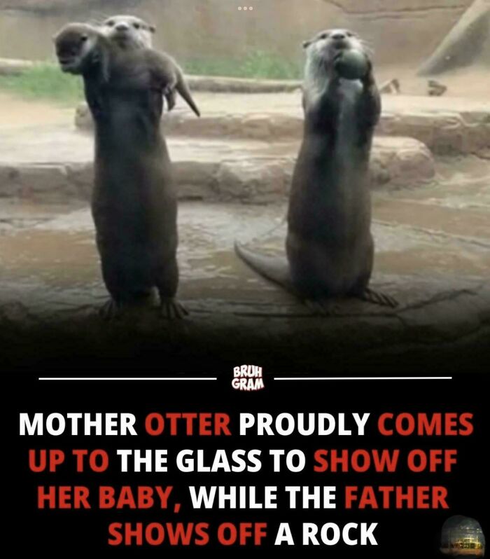 Too Cute To Handle