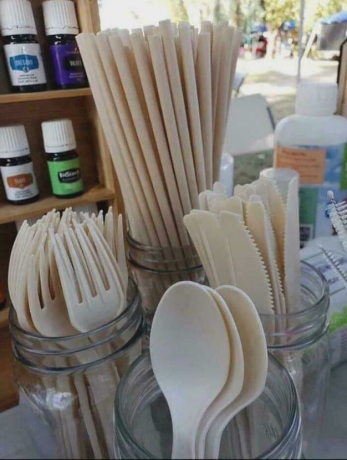 Plastic Cutlery … From Avocado Seeds??