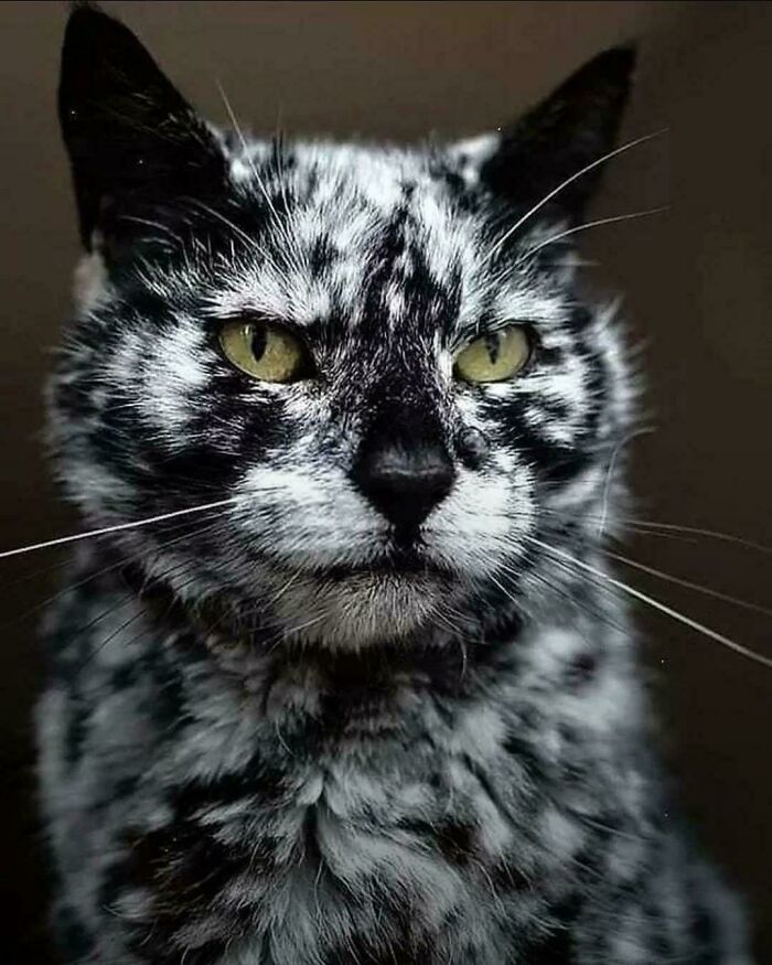 Uniquely Beautiful