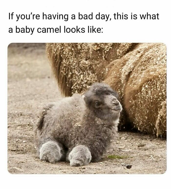 Look At This Little Baby