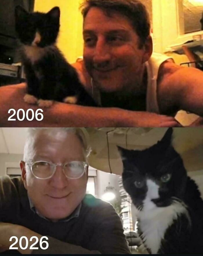 Cat Turns 20! That’s Like 95 For Humans