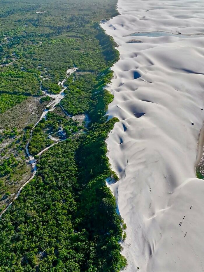 Sharp Border: Forest Meets Sand Dunes In Brazil