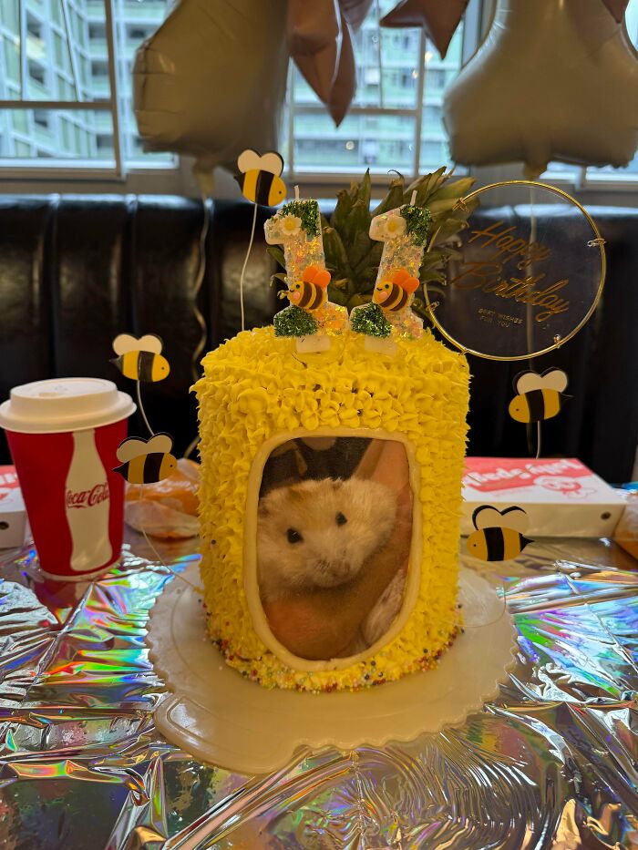 Pineapple "Pudding (Her Hamster)" Cake – Because Kids’ Birthday Requests Are Wild