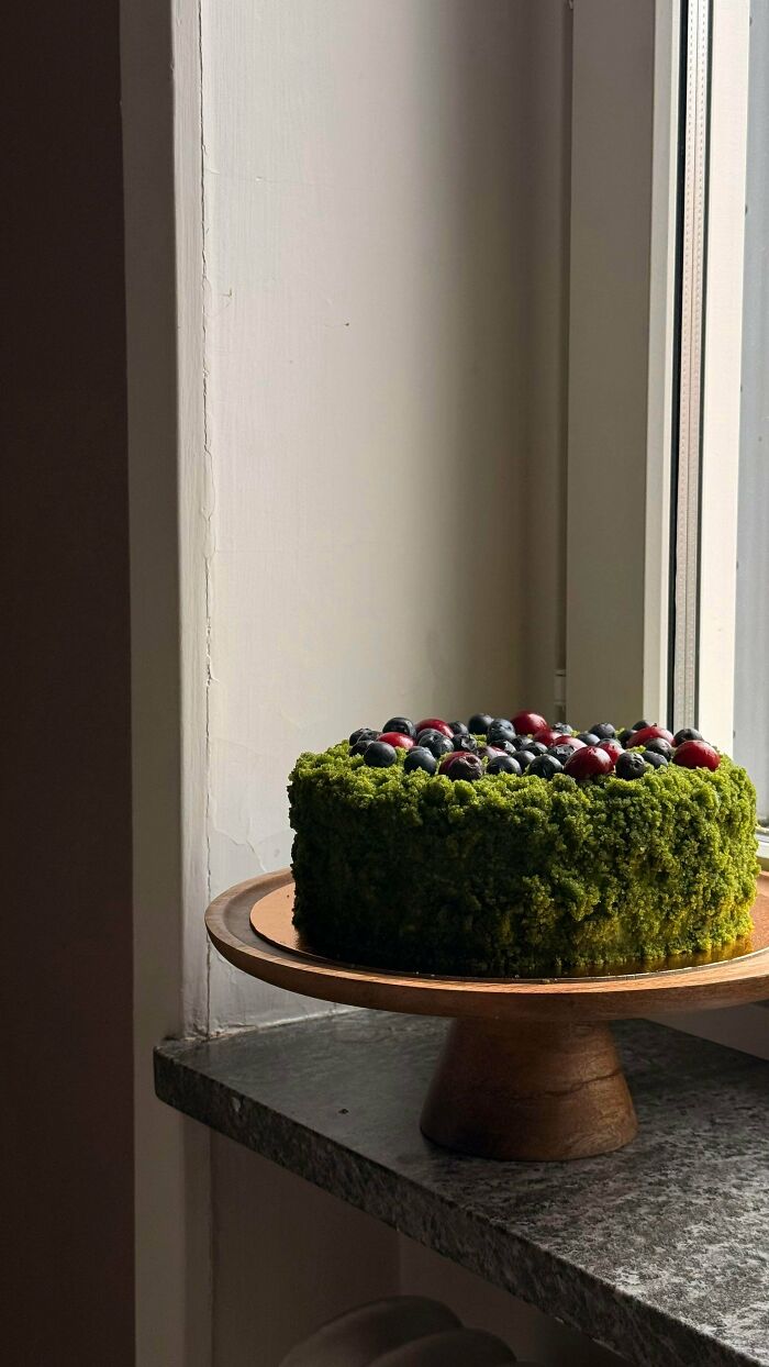Moss Cake That’s Basically A Mini Forest You Can Eat