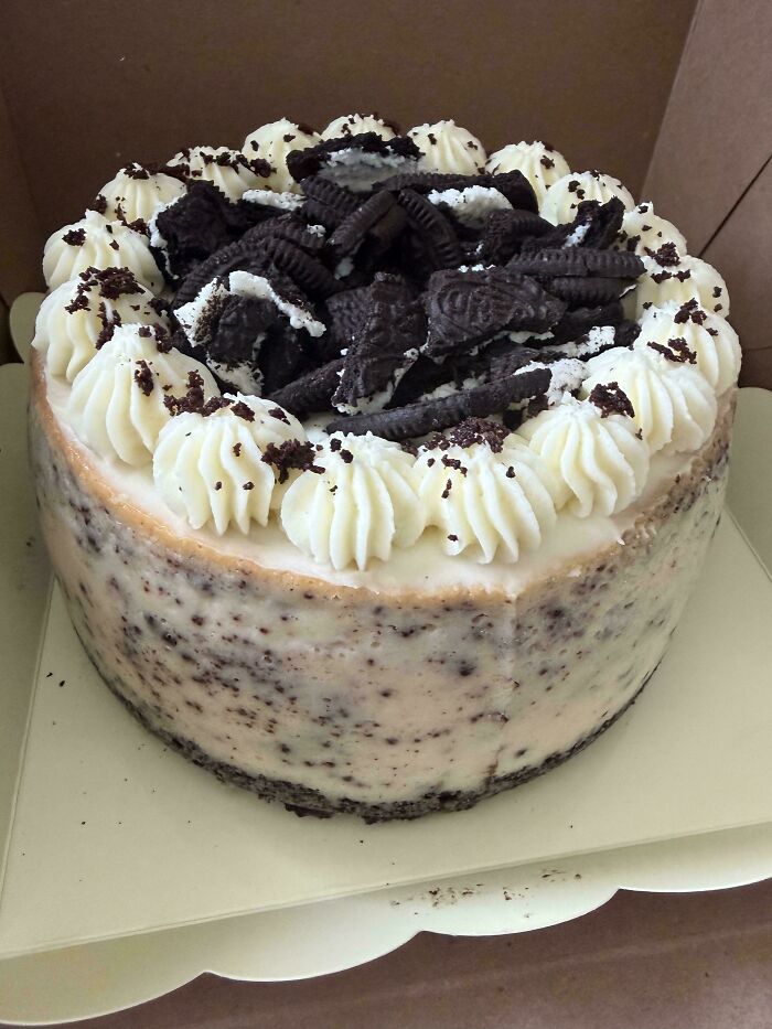 My Best Friend Got Dumped, So I Made Her A Cheesecake That Says, “You’ve Got This”