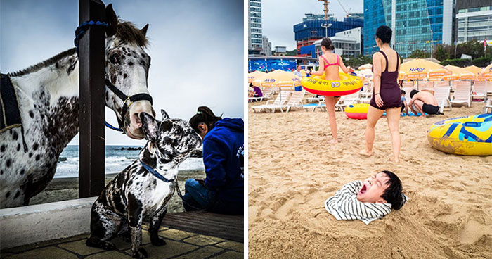 These 100 Street Photos Captured Everyday Life… But Make It Awesome!