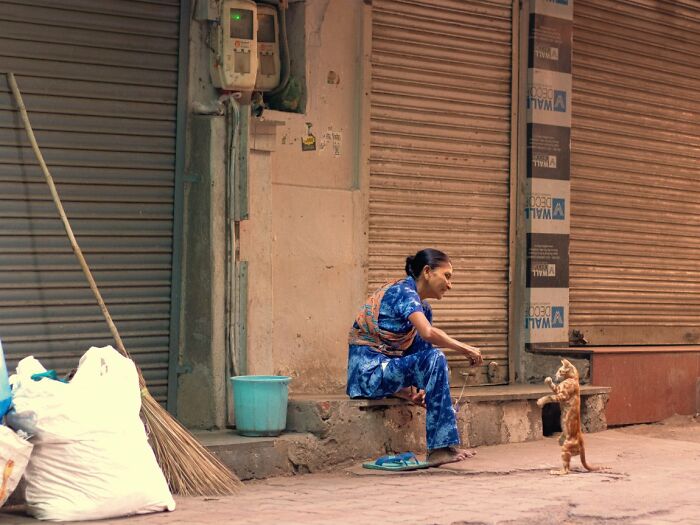 Deep Vyas: Walking Art