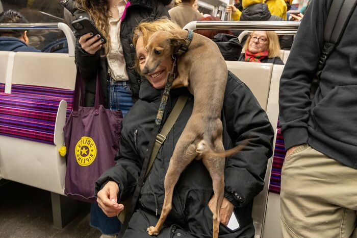 These 100 Street Photos Captured Everyday Life... But Make It Awesome!