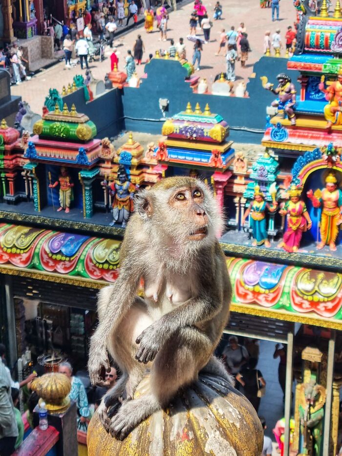These 100 Street Photos Captured Everyday Life... But Make It Awesome!