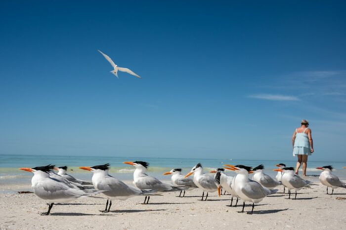 These 100 Street Photos Captured Everyday Life... But Make It Awesome!