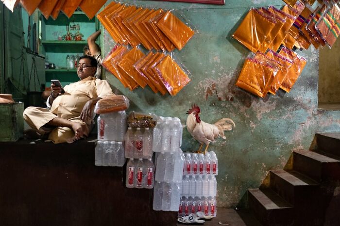 These 100 Street Photos Captured Everyday Life... But Make It Awesome!