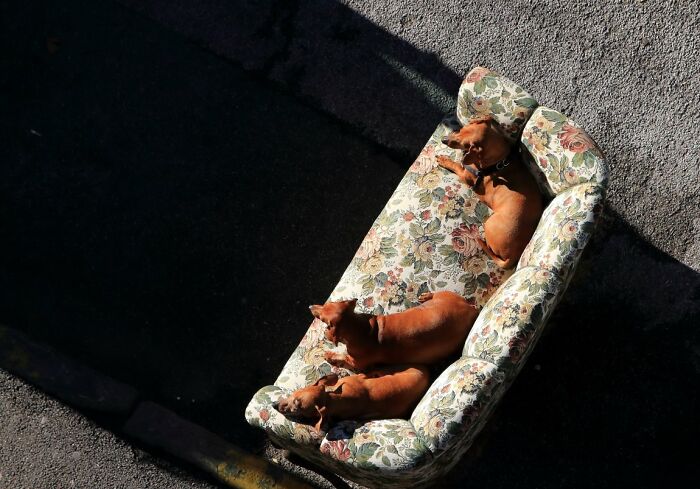 These 100 Street Photos Captured Everyday Life... But Make It Awesome!