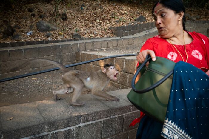 These 100 Street Photos Captured Everyday Life... But Make It Awesome!