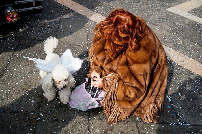 These 100 Street Photos Captured Everyday Life... But Make It Awesome!