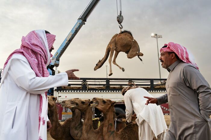 These 100 Street Photos Captured Everyday Life... But Make It Awesome!
